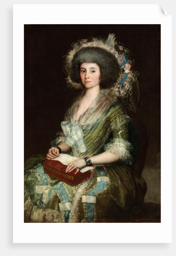 Portrait of Dona Manuela Camas, 1795 by Francisco Jose de Goya y Lucientes