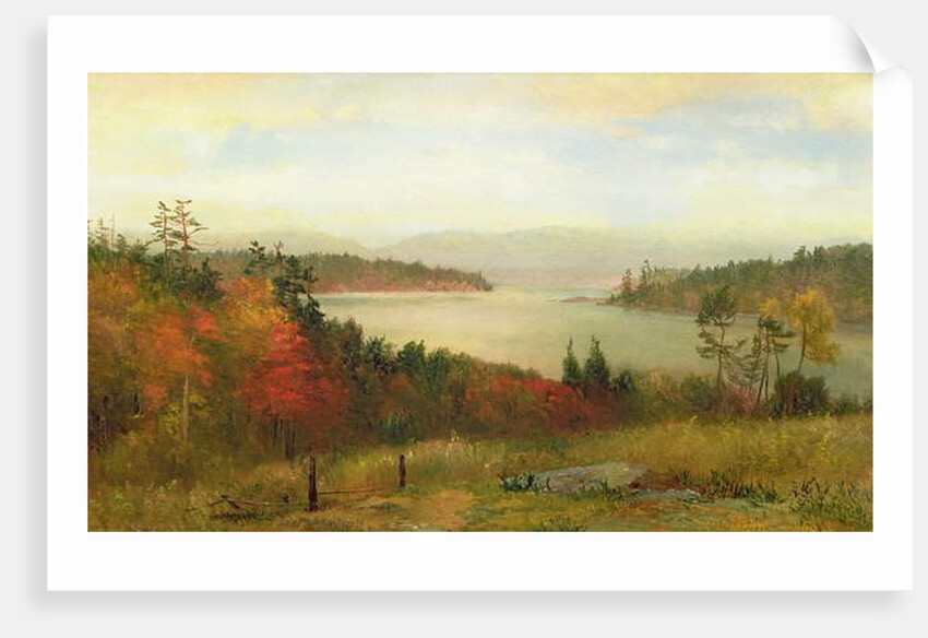 Raquette Lake, 1869 by Homer Dodge Martin