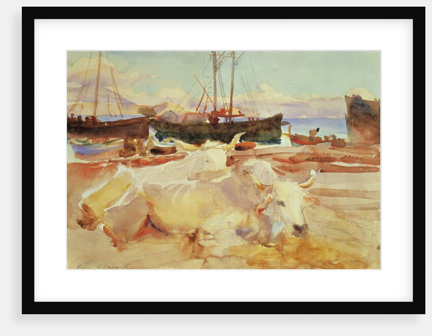 Oxen on the Beach at Baia, c.1908 by John Singer Sargent