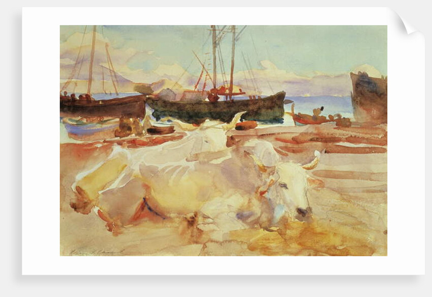 Oxen on the Beach at Baia, c.1908 by John Singer Sargent