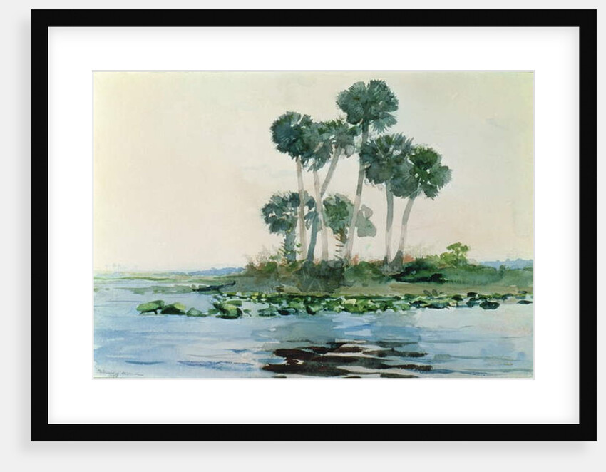 St. John's River, Florida, 1890 by Winslow Homer