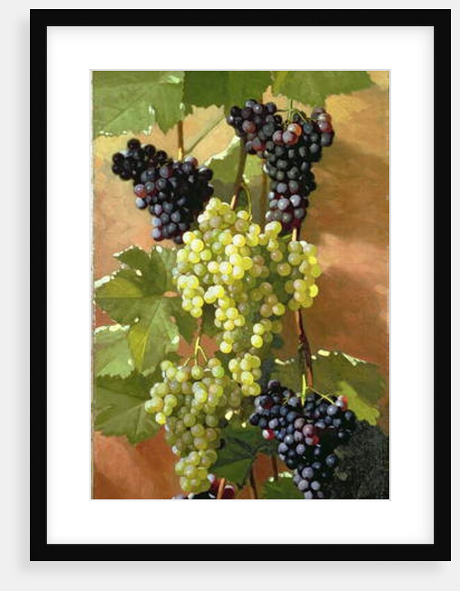 Grapes, 1897 by Edward Chalmers Leavitt