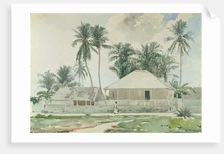 Cabins, Nassau, 1885 by Winslow Homer