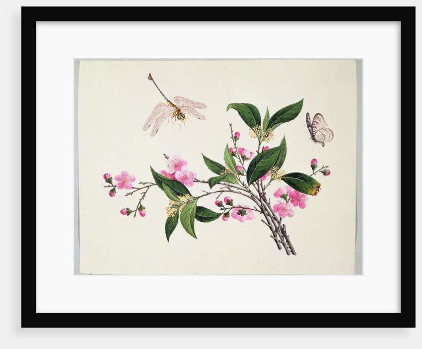 Cherry Blossom Dragonfly and Butterfly by School Chinese