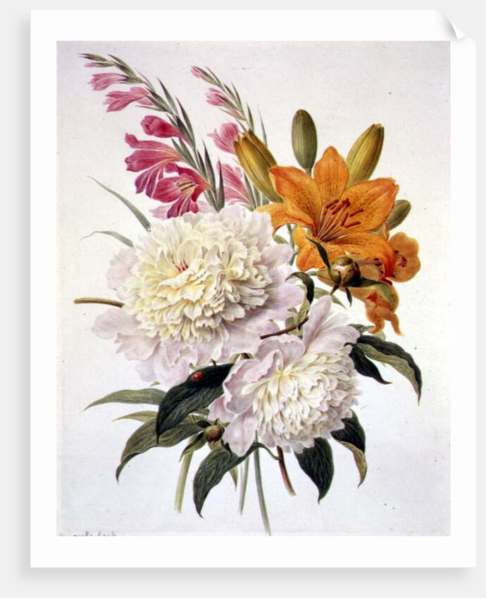Sprays of Gladioli, Peonies and Lilium Bulbiferum by Henriette Gertruide Knip