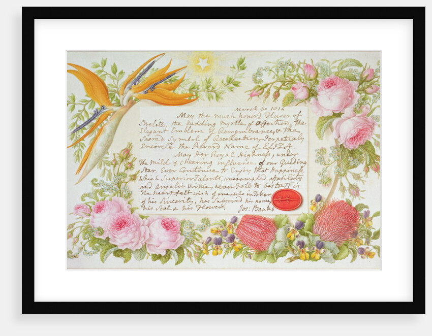 A surround of mixed flowers with an inscribed message by Joseph Banks, 1814 by Francis Bauer