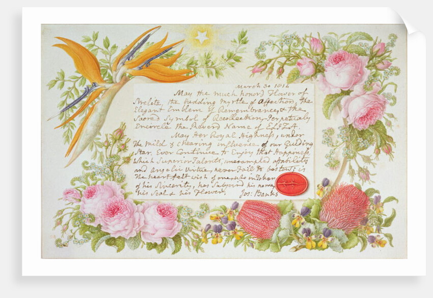 A surround of mixed flowers with an inscribed message by Joseph Banks, 1814 by Francis Bauer