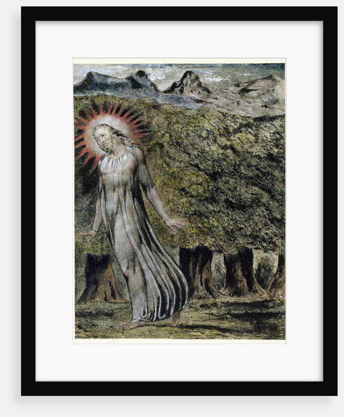 A Prophet in the Wilderness by William Blake
