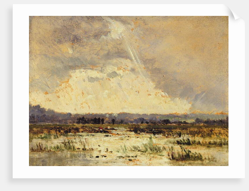 The Marsh in the Souterraine, 1842 by Theodore Rousseau