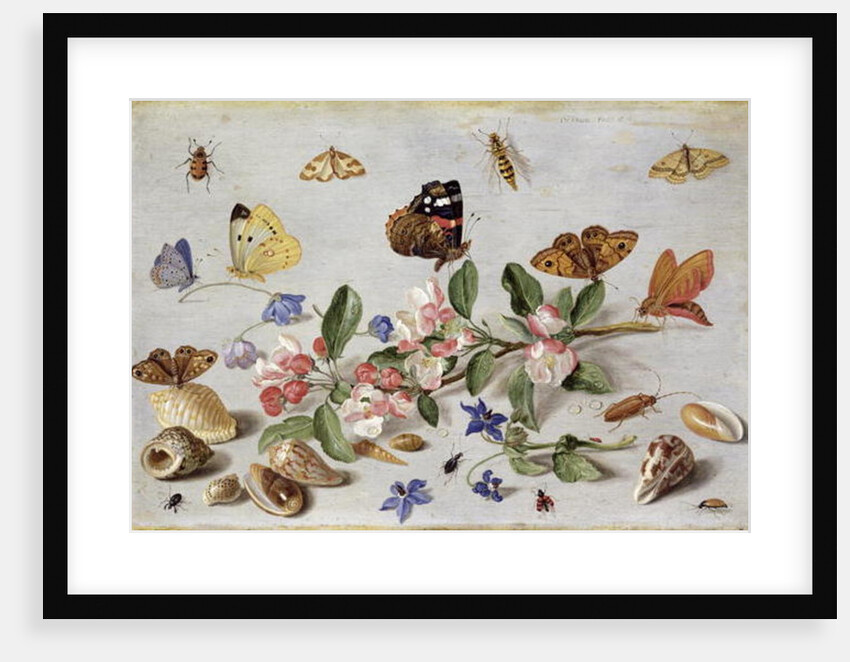Insects by Jan van the Elder Kessel