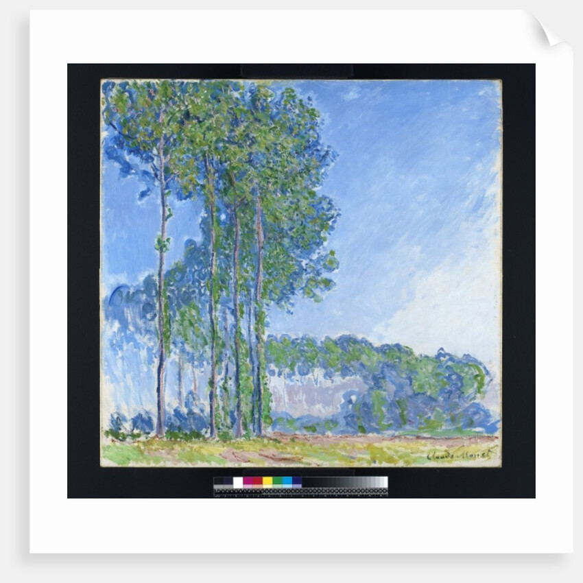 Poplars, 1891 by Claude Monet