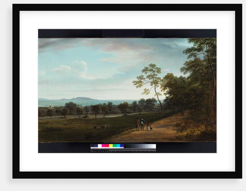 View in Mount Merrion Park, 1806 by William Ashford