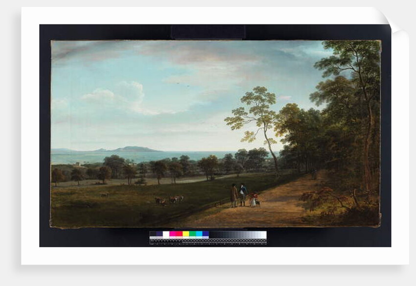 View in Mount Merrion Park, 1806 by William Ashford