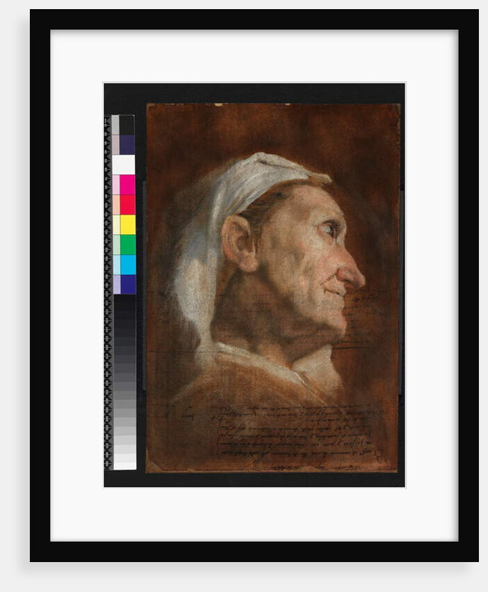 Head of an old woman, c.1590 by Annibale Carracci