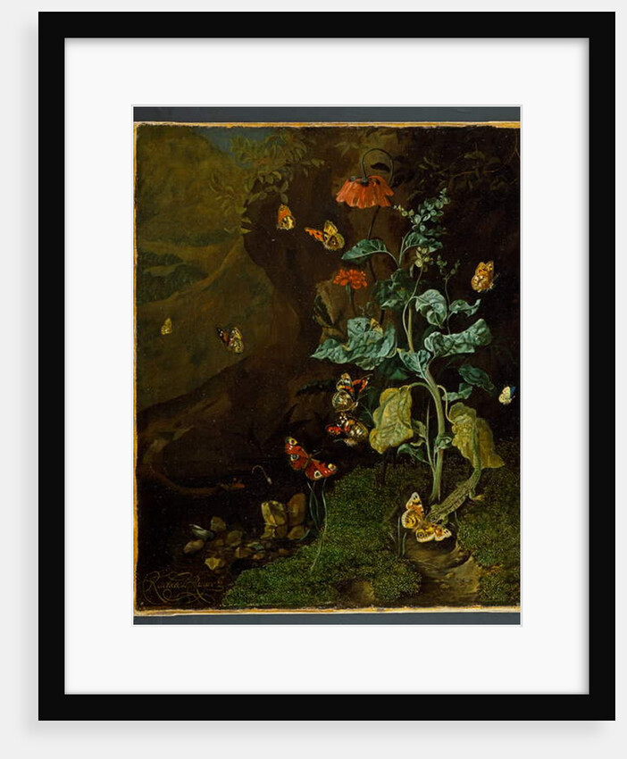 A still life with flowers, butterflies and a lizard in a dell, before 1750 by Rachel Ruysch