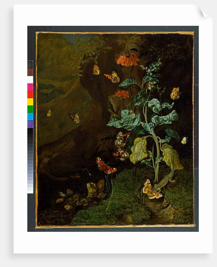 A still life with flowers, butterflies and a lizard in a dell, before 1750 by Rachel Ruysch