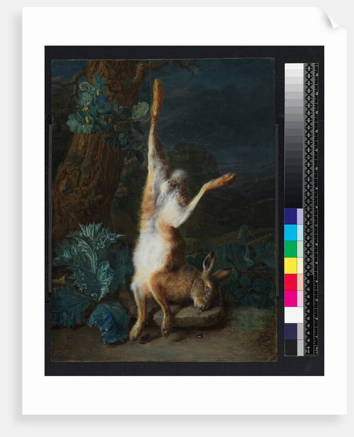 A dead hare, before 1782 by Pieter Snyers
