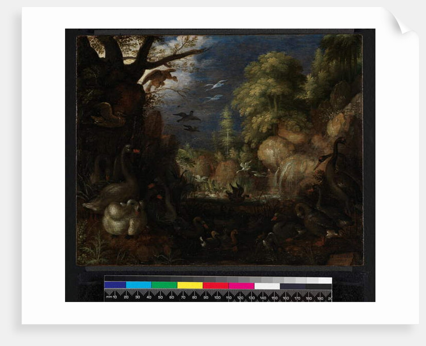 The Creation of Birds, 1619 by Roelandt Jacobsz. Savery