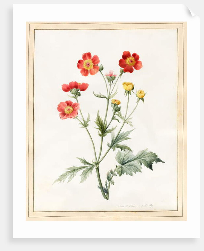 Composite, 1827 by Louise D'Orleans