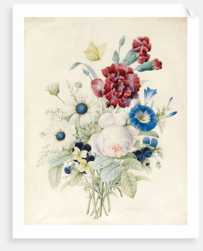 A Spray of Flowers including a Rose, a Blue Convolvulus and Pansies, 1830 by Caroline Adrien
