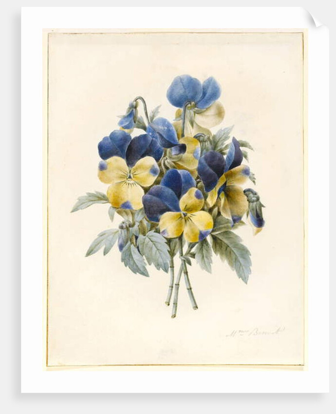 Sprig of Pansies by Madame Benoit