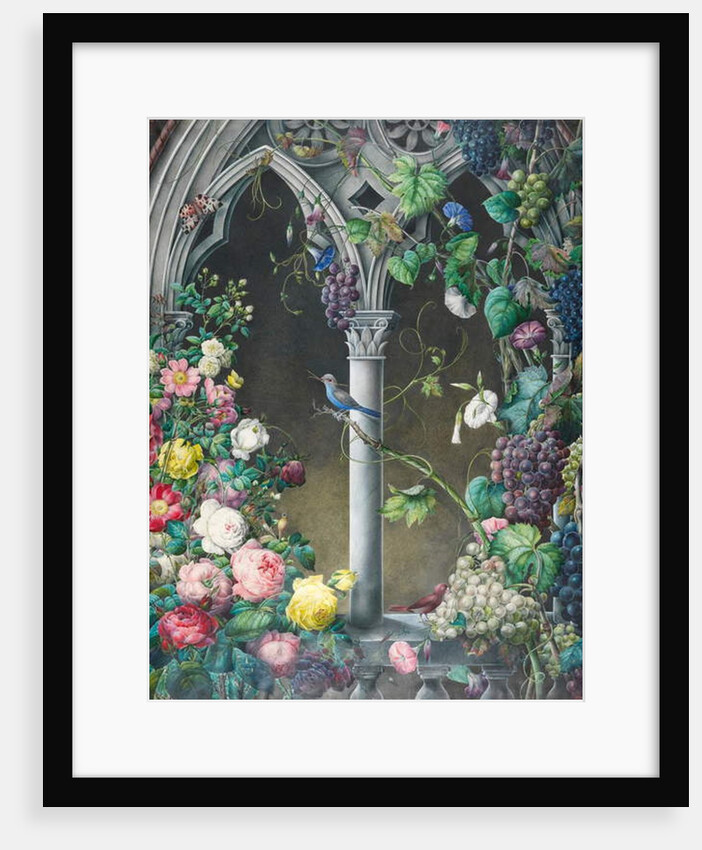 Bunches of Roses, Ipomoea and Grape-vines, Around an Arcade in a Fanciful Gothic Style, Two Birds, Species Unknown, and a Tiger Moth by Eugene Joseph Prevost