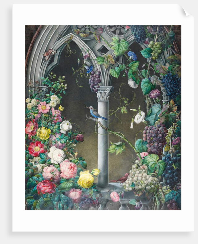 Bunches of Roses, Ipomoea and Grape-vines, Around an Arcade in a Fanciful Gothic Style, Two Birds, Species Unknown, and a Tiger Moth by Eugene Joseph Prevost