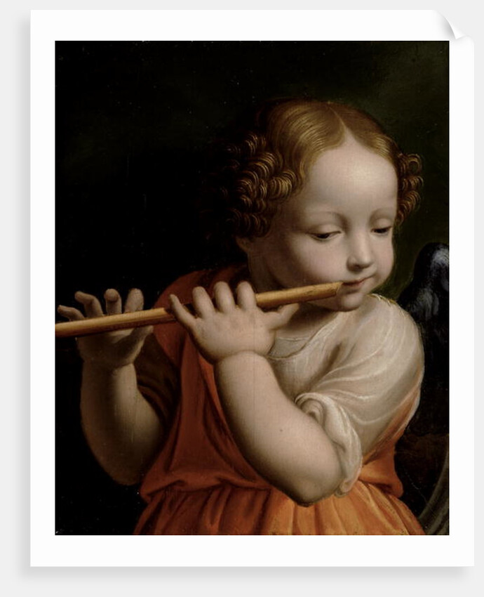 Child Angel Playing a Flute, c.1500 by Bernardino Luini