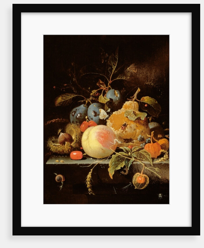 Still Life of Fruit and Nuts on a Stone Ledge by Abraham Mignon