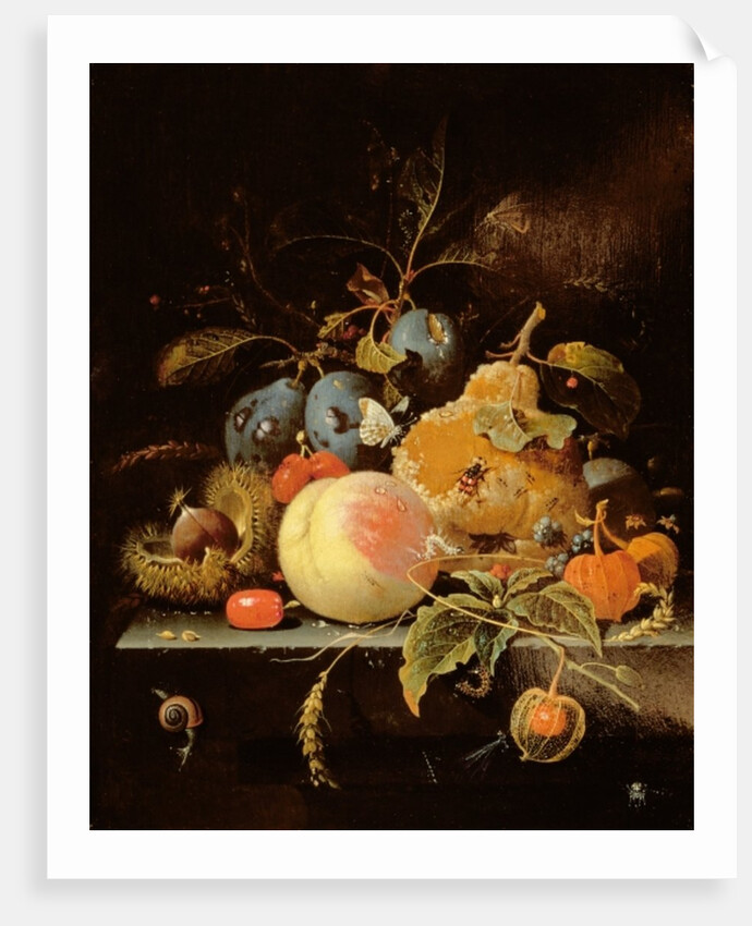 Still Life of Fruit and Nuts on a Stone Ledge by Abraham Mignon