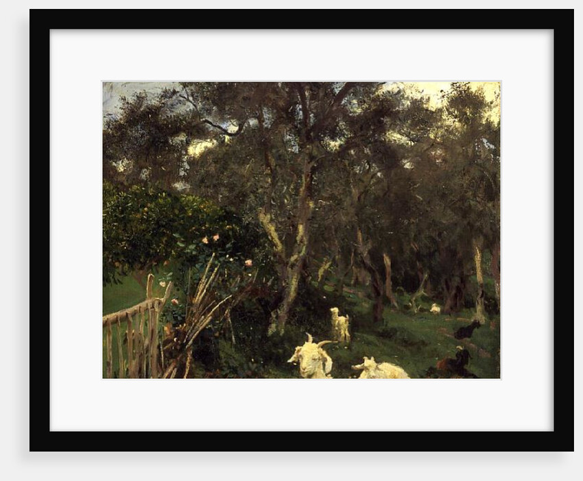 Olives in Corfu, 1909 by John Singer Sargent