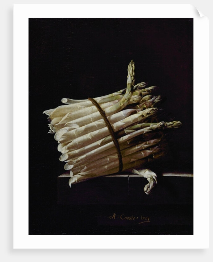 Bunch of Asparagus, 1703 by Adrian Coorte
