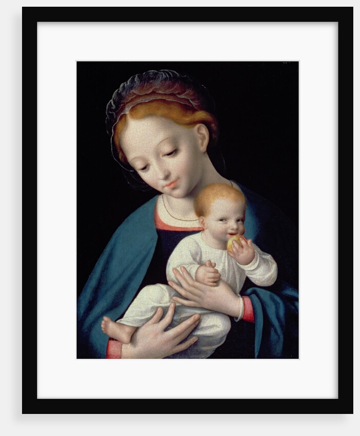 Virgin and Child by Cornelis van Cleve