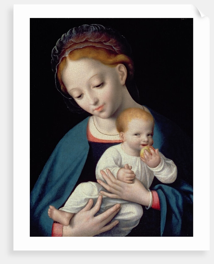 Virgin and Child by Cornelis van Cleve