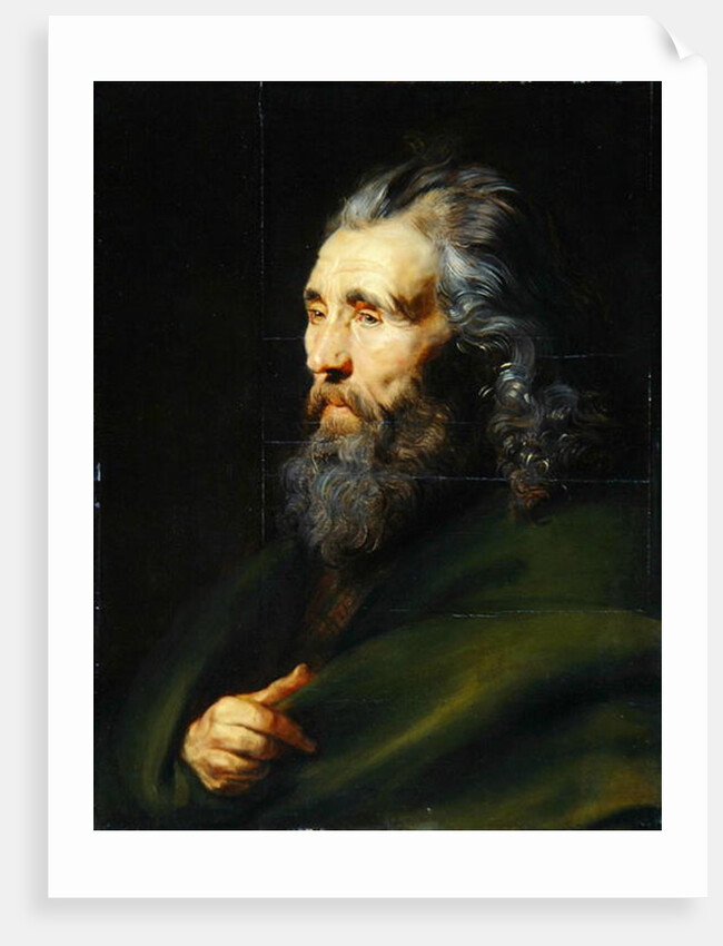 Head Study of a Bearded Man, c.1617 by Peter Paul Rubens