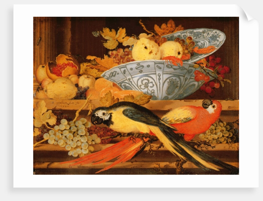 Still Life with Fruit and Macaws, 1622 by Balthasar van der Ast