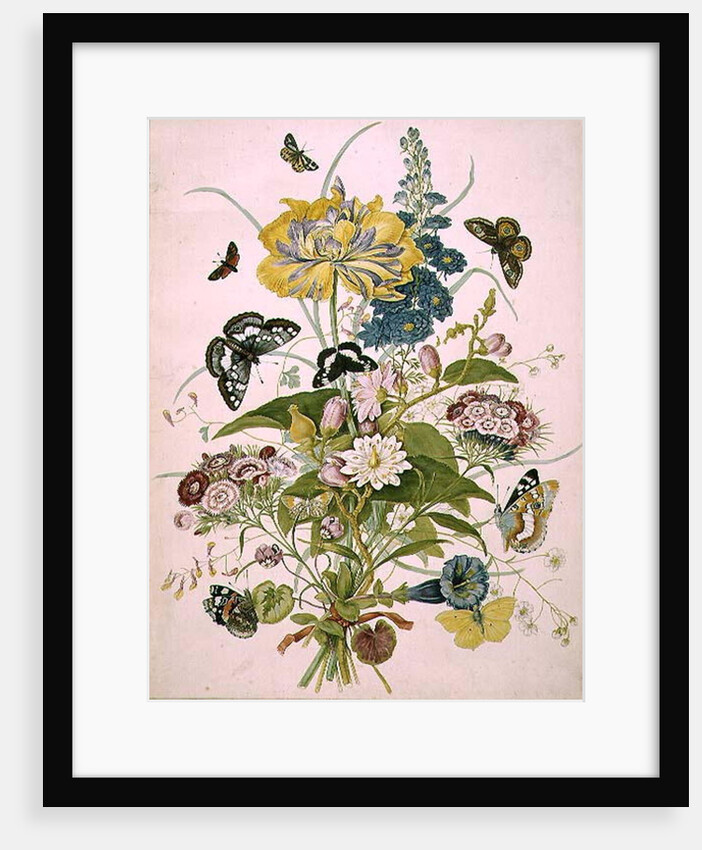 PD.912-1973 Still life of flowers including a parrot tulip, larkspur, sweet william, gentian and cyclamen, 1769 by Thomas Robins