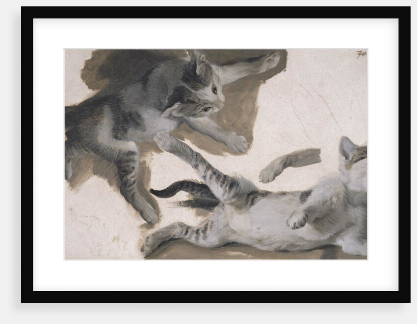 Sketches of a Kitten by Alexandre-Francois Desportes