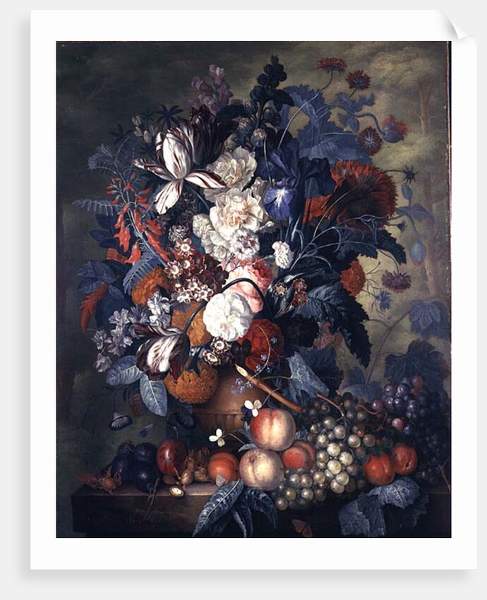 A Vase of Flowers with Fruit by Jacob van Huysum