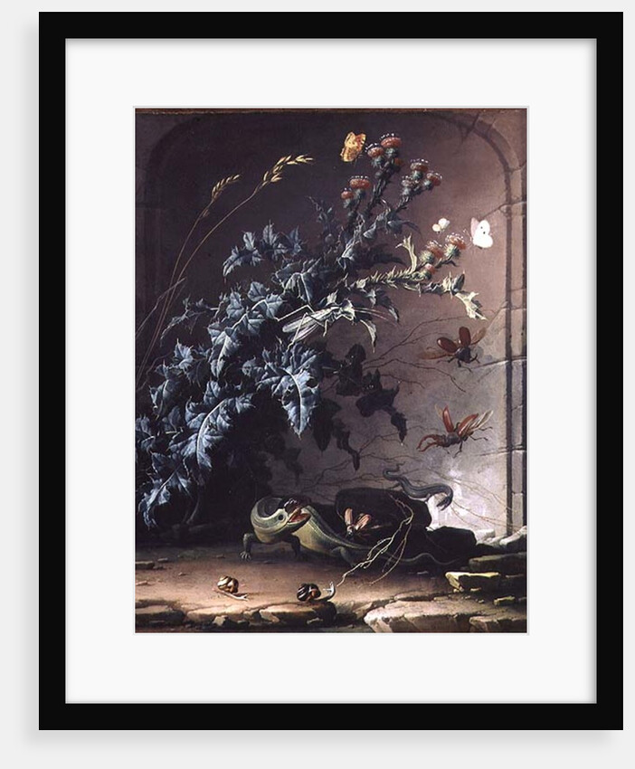 Stone Niche with Thistle, Lizard and Insects, 1690 by Elias van den Broeck