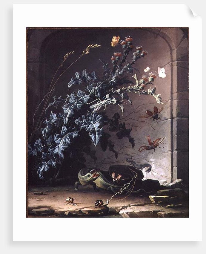 Stone Niche with Thistle, Lizard and Insects, 1690 by Elias van den Broeck