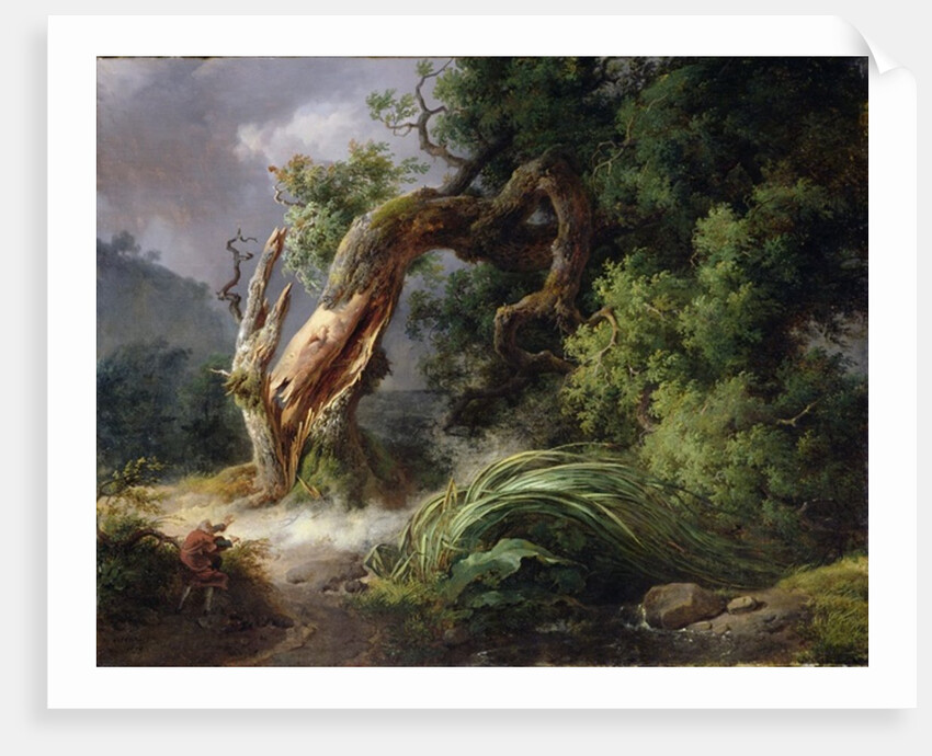 The Oak and the Reed, 1816 by Achille Etna Michallon