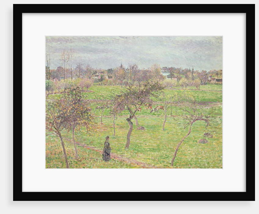 Apple Trees in a Meadow at Eragny, 1894 by Camille Pissarro