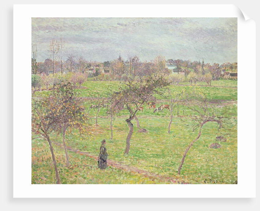 Apple Trees in a Meadow at Eragny, 1894 by Camille Pissarro
