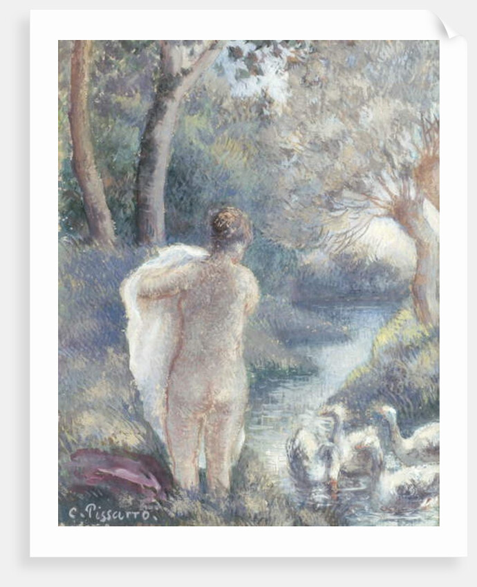 Nude with Swans, c.1895 by Camille Pissarro