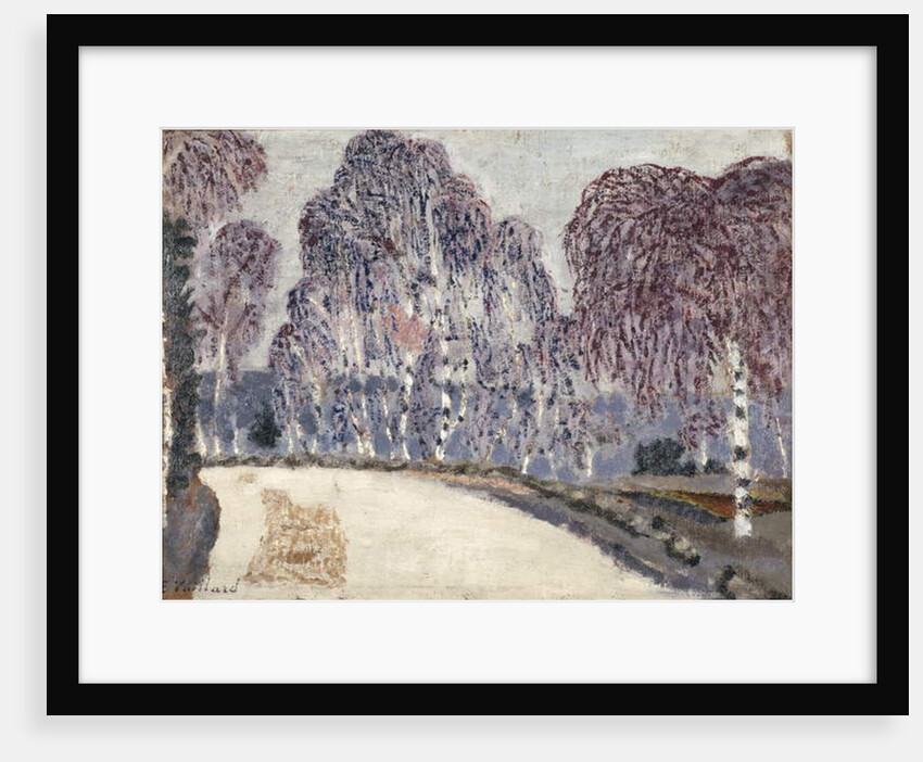 Birches at L'Etang-a-la-Ville, 1896 by Edouard Vuillard