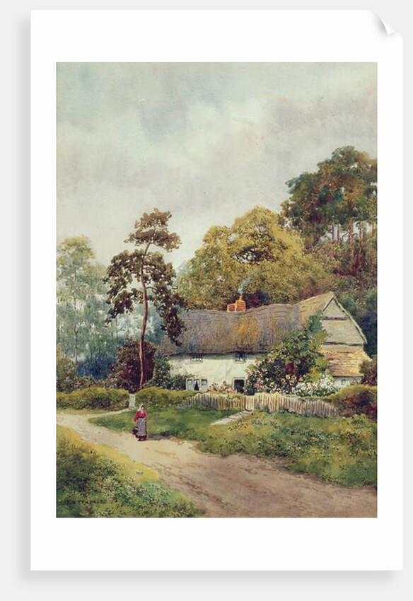 A Country Cottage by F.H. Tyndale