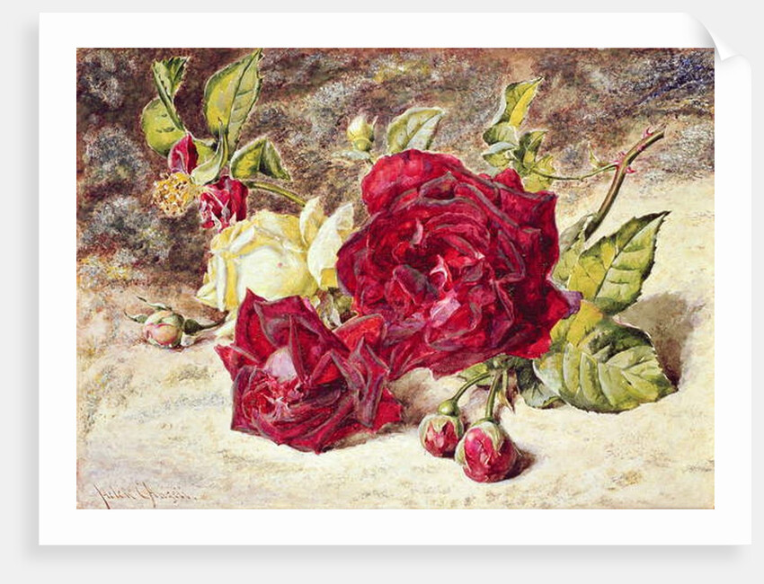 One White and Two Red Roses and Buds by Helen Cordelia Coleman Angell