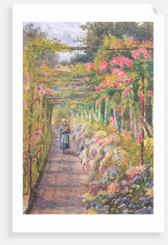 Young Girl Walking under a Rose Pergola by English School