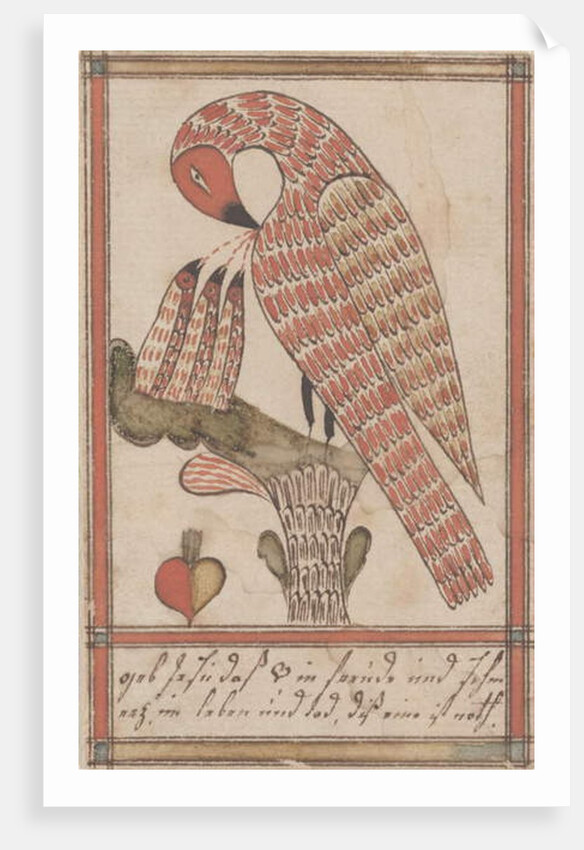 Pelican in it's Piety, c.1800 by American School